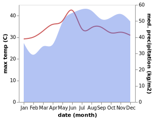 temperature and rainfall during the year in Lono