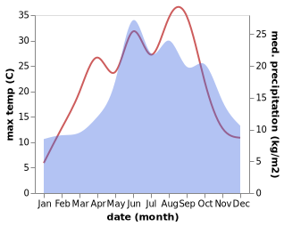 temperature and rainfall during the year in Dominowo