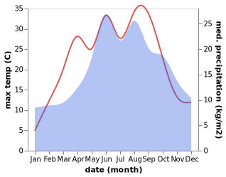 temperature and rainfall during the year in Blaszki