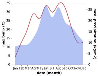 temperature and rainfall during the year in Dzialoszyn