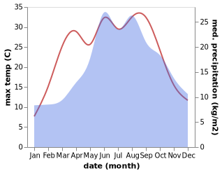 temperature and rainfall during the year in Dziecmorowice