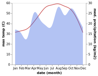 temperature and rainfall during the year in Umm Sa'id