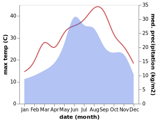 temperature and rainfall during the year in Dichiseni