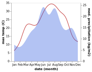 temperature and rainfall during the year in Petnic