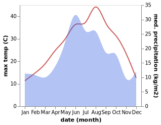 temperature and rainfall during the year in Shovgenovskiy