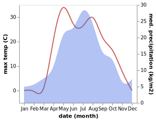 temperature and rainfall during the year in Rayevskiy