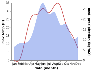 temperature and rainfall during the year in Novaya Tavolzhanka