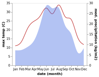 temperature and rainfall during the year in Alkhan-Yurt