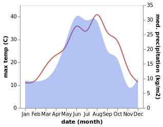 temperature and rainfall during the year in Sagopshi