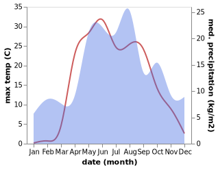 temperature and rainfall during the year in Rodniki