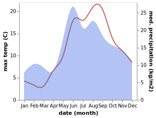 temperature and rainfall during the year in Zelenogradsk