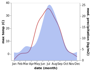 temperature and rainfall during the year in Bor