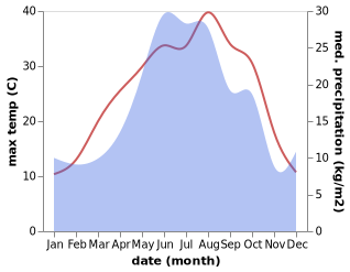 temperature and rainfall during the year in Chernolesskoye