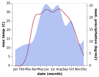 temperature and rainfall during the year in Novaya Chigla