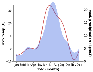 temperature and rainfall during the year in Novyy Urengoy