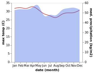 temperature and rainfall during the year in Guadalupe