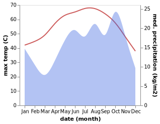 temperature and rainfall during the year in Medina