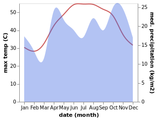temperature and rainfall during the year in Rahimah