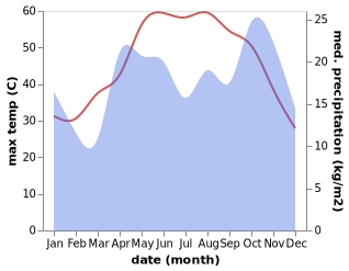 temperature and rainfall during the year in Mulayjah
