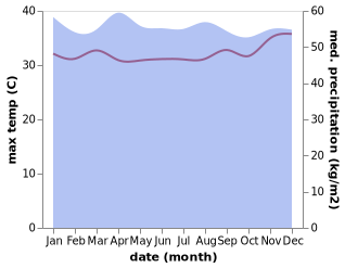 temperature and rainfall during the year in Buala