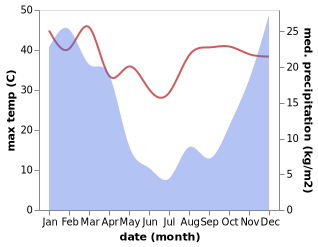 temperature and rainfall during the year in Carletonville