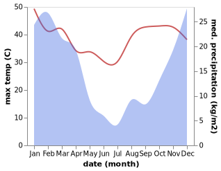 temperature and rainfall during the year in Edenglen