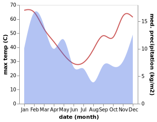 temperature and rainfall during the year in Carnarvon