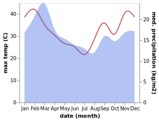 temperature and rainfall during the year in Newlands