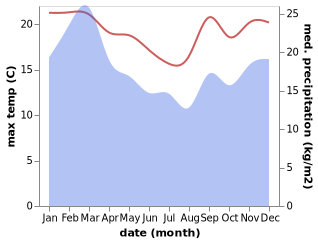 temperature and rainfall during the year in Hermanus