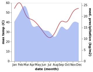 temperature and rainfall during the year in Moorreesburg