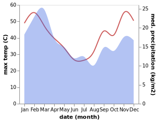 temperature and rainfall during the year in Robertson