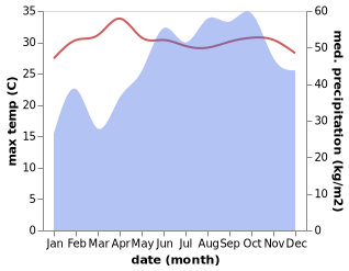 temperature and rainfall during the year in Point Pedro