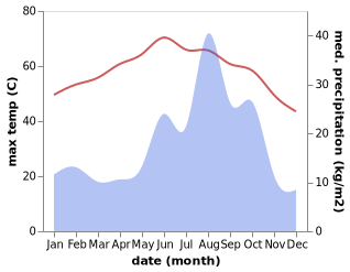 temperature and rainfall during the year in Dongola