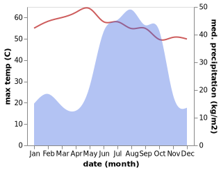 temperature and rainfall during the year in Ad Diwem