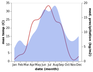 temperature and rainfall during the year in Burtraesk