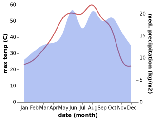 temperature and rainfall during the year in Palmyra