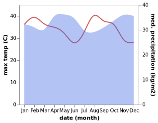 temperature and rainfall during the year in Musoma