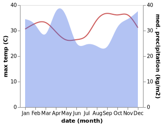 temperature and rainfall during the year in Geiro