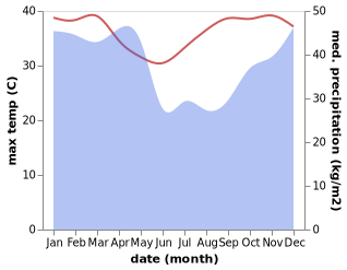 temperature and rainfall during the year in Ifakara