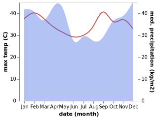 temperature and rainfall during the year in Kidatu