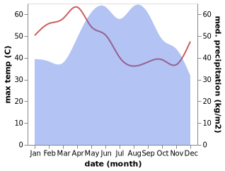 temperature and rainfall during the year in Sawaeng Ha