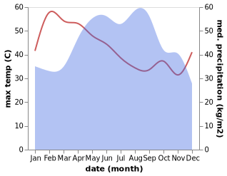 temperature and rainfall during the year in Nong Ki