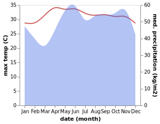 temperature and rainfall during the year in Yaring