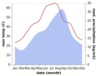 temperature and rainfall during the year in Jilma