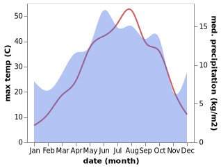 temperature and rainfall during the year in Caybagi