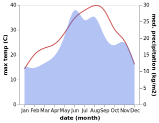 temperature and rainfall during the year in Salmydessus