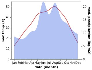temperature and rainfall during the year in Dinek