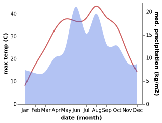 temperature and rainfall during the year in Dobada