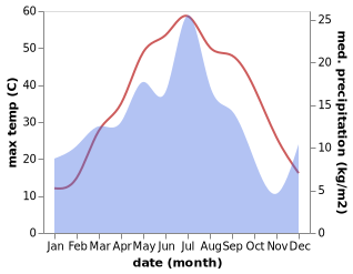 temperature and rainfall during the year in Daşoguz