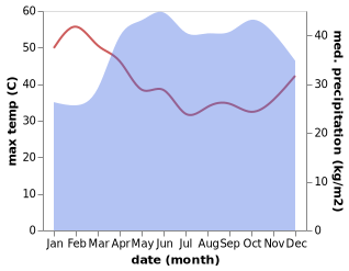 temperature and rainfall during the year in Moyo